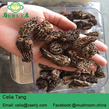Dried Morels Morchella Esculenta photo-5