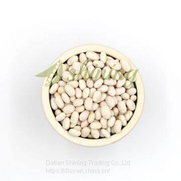 china wholesale price Japanese white kidney bean