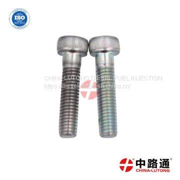 SCV Valve Holden Colorado SCV Valve 4jj1 Fits for Nissan Yd25 Suction Control Valve photo-4