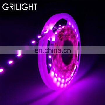 Shenzhen supply 300d 5m roll rgb colorful smd5050 led strip light