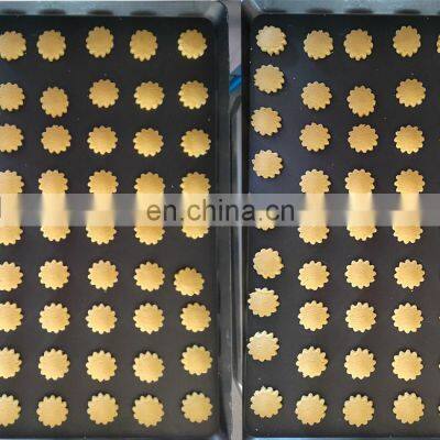 Type600 Full Automatic Chocolate Chip Cookies Filling Making Machinery Equipment Small Cookie Wire Cut Depositor for Sale