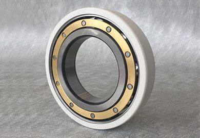 Nu322ecm/C3vl0241 Insulated Bearings for Traction Motors