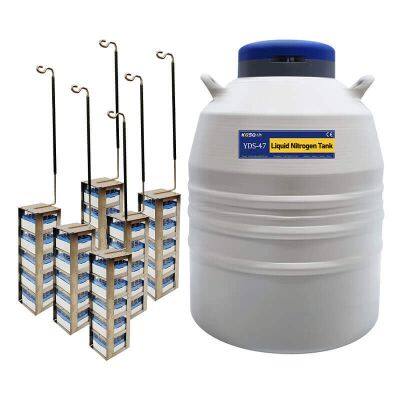 Ethiopia Liquid Nitrogen Sperm Storage Tank Price KGSQ photo-5