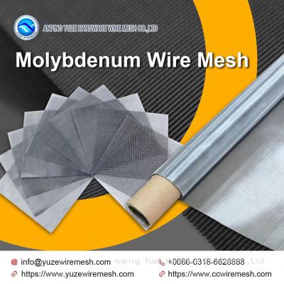 Molybdenum Wire Mesh