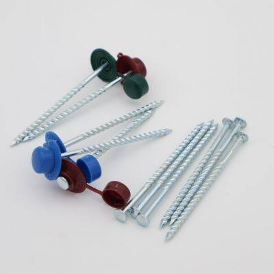 China Galvanized Twist Nails With Plastic Caps