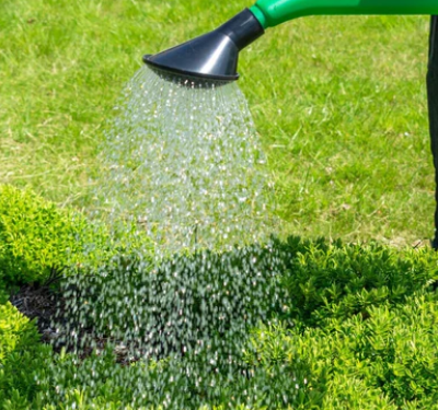 10L Garden Watering Can - Bulk Order Discount photo-4