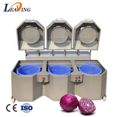 Food Manufacturing Industry Fruit and Vegetable Cleaning Machine Fruit Washing Machine With Dryer photo-3
