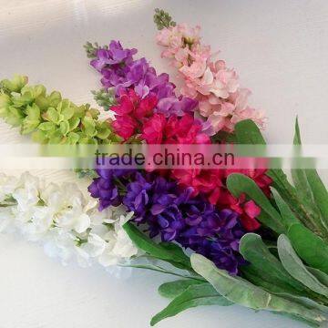 GIGA cheap wholesale dried violet flowers