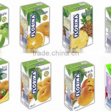 FRUIT NECTARS & DRINKS FLORINA 250ml