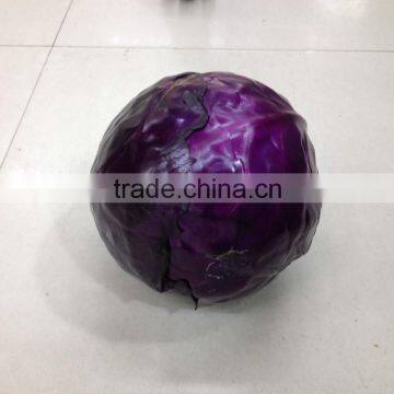 China High Quality Fresh Cabbage