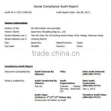 Disney Social Compliance Audit report