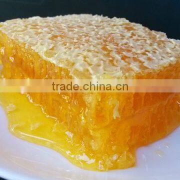 Concentrated Honey Extractor,low Price Honey Vacuum Concentration photo-3