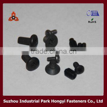 DIN Standard High Quality Carbon Steel Black Mini Screw