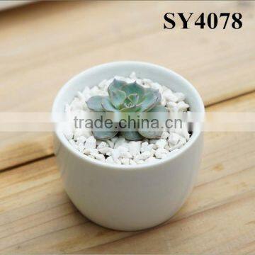 White mini succulent ceramic pot