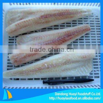 Fresh frozen alaska pollock fillet