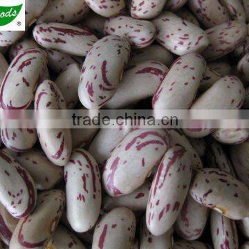 Light Speckled Kidney Beans