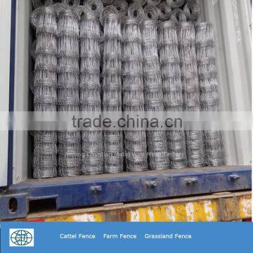 Low Price Hot Sales Galvanized Cattel Fence photo-2