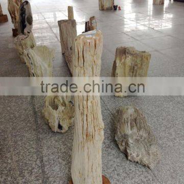 Garden Landscaping petrified wood