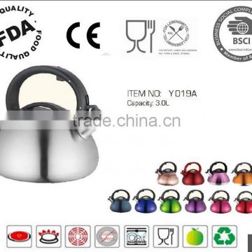 plastic handles Stainless Steel Tea Kettle,kettle