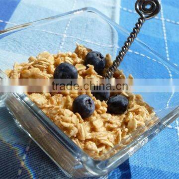 Quaker Oats Quality Oat Flakes in Oats Wholesale Price photo-2