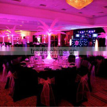 shanghai wedding ceremony events acrylic LED lighted table decorative centerpiece feather