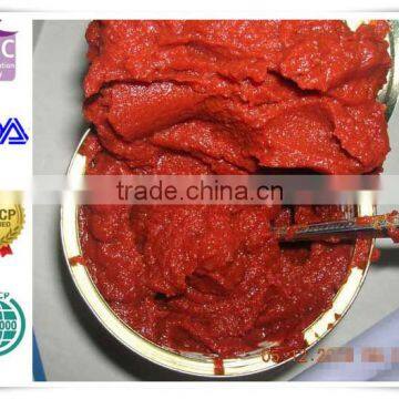 Top quality tomato paste