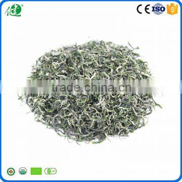 Best Green Tea Brands as Healthy Organic Green Tea photo-2