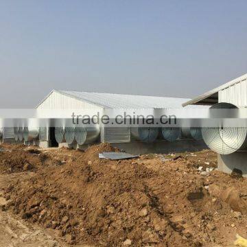 BROILER SHED BUILDING photo-5