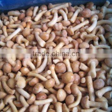 IQF Frozen Nameko Mushroom photo-1