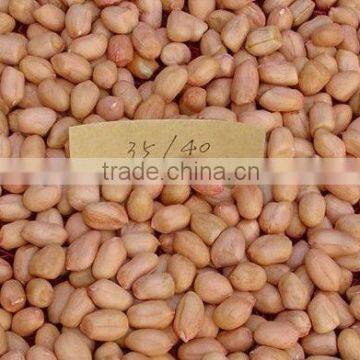 Raw Peanut Kernel for Sale photo-2