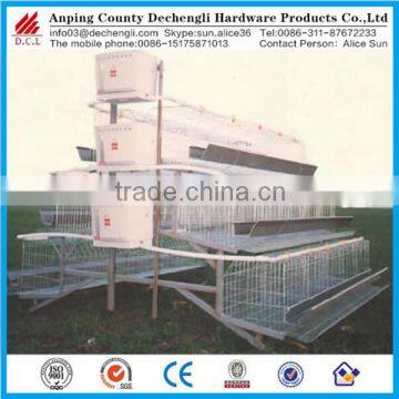 galvanized Welded wire mesh chicken cages/Farm chicken farm