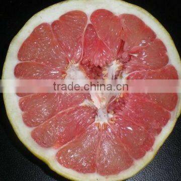 Fresh Red Pulp Honey Pomelo