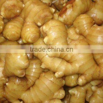 Dry Ginger From China