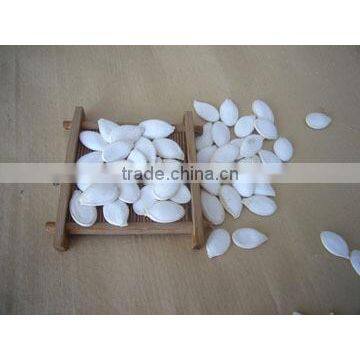 Sunshie white pumpkin seeds on urgent sale