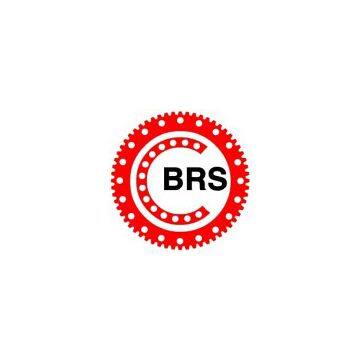 Luoyang BRS Bearing Co.,Ltd