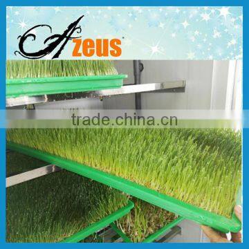 electric barley sprout machine barley grass growing machine