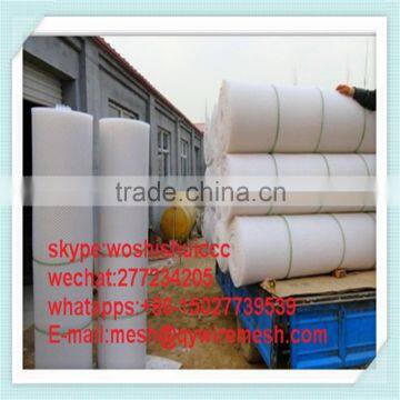 Green Color Hexagonal Hole Plastic Flat Wire Mesh photo-3