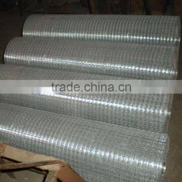 galvanized welded wire mesh