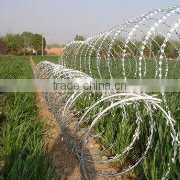 Hot Dipped Galvanized Razor Blade Wire photo-4