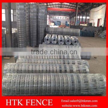 High Tensile 6ft Sheep Wire Mesh Fence (Hot Sale) photo-4