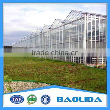 Modern Venlo Type Glass Greenhouse For Vegetables