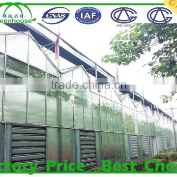 High light transmission multi-span glass greenhouse