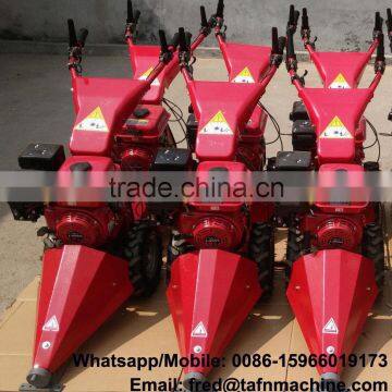 Self Propelled Lawn Mower in Grass Trimmer