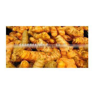 Turmeric Oil
