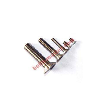 Titanium Countersunk Bolt