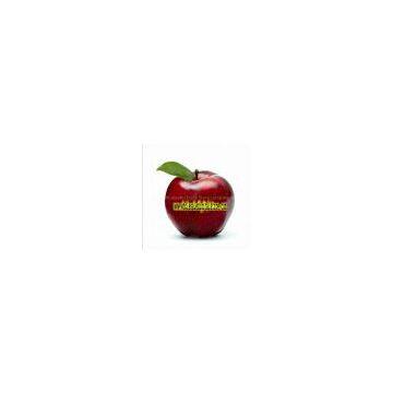 Beijing Wholesale Digital Store company