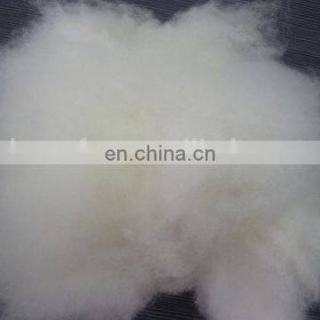 Pure fine 100% cashmere fiber used for pashmina