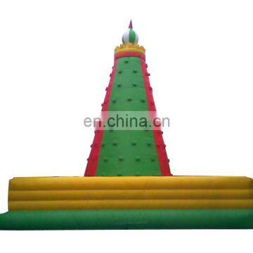 Adult Climbing Rock Climbing Walls photo-3