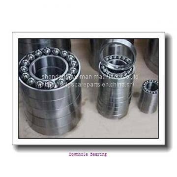 Downhole Bearing