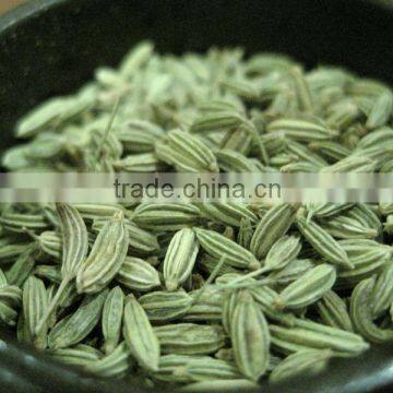 Indian Green Fennel Seeds